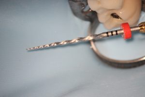 RobertSpindler3_edited